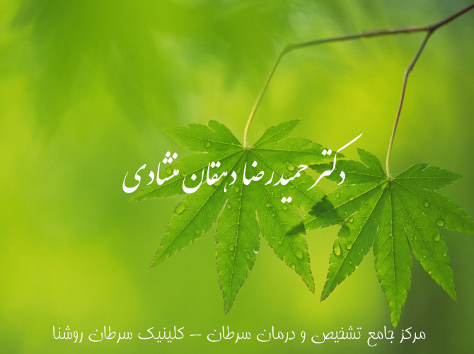 dr hamidreza dehghan manshadi